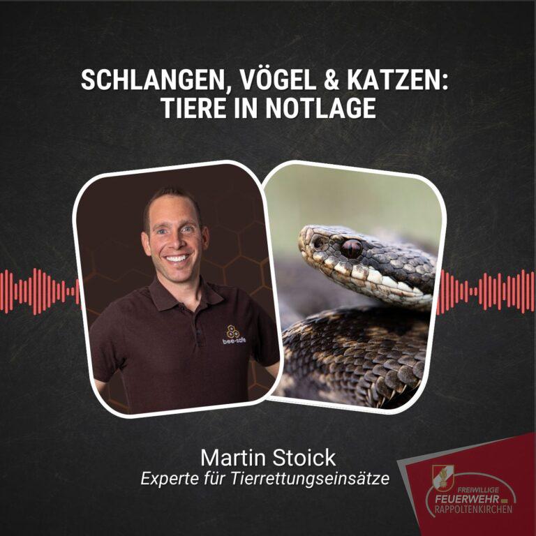 #107: Schlangen, Vögel & Katzen: Tiere in Notlage